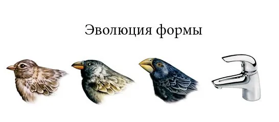 Oras_Vienda_evoluutio
